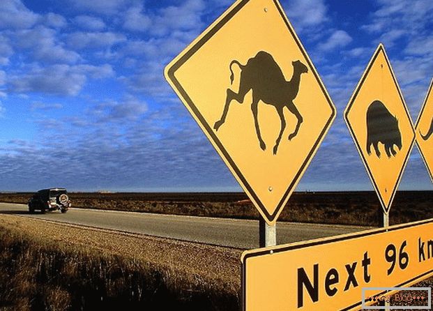 Австралийският пътнически знак предупреждава, че на пътя могат да се движат различни животни.
