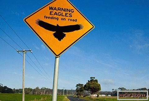 Предупреждение за възможността да срещнете орли по пътя